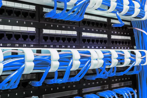 BG大游(中国)唯一官方网站